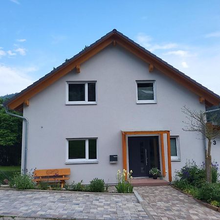 Fewo Am Neckarsteig Mit Anbindung An Heidelberg Неккарштайнах Экстерьер фото