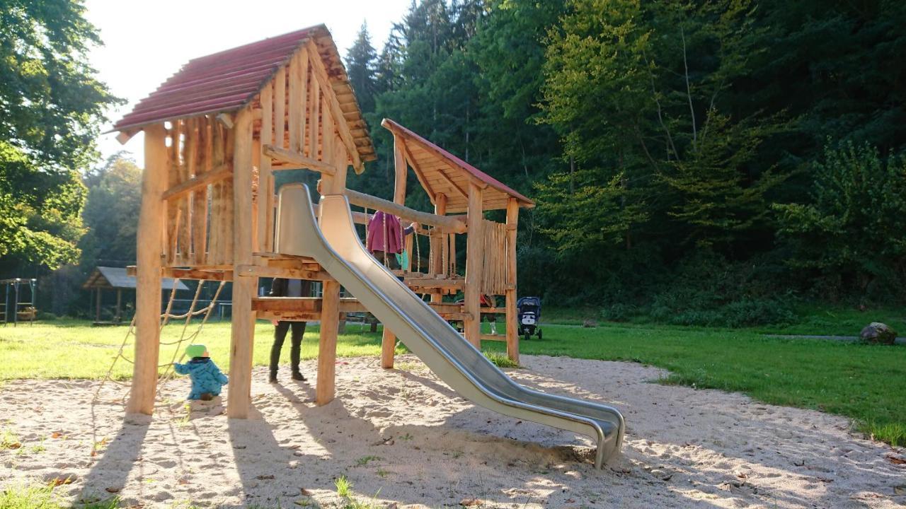 Fewo Am Neckarsteig Mit Anbindung An Heidelberg Неккарштайнах Экстерьер фото