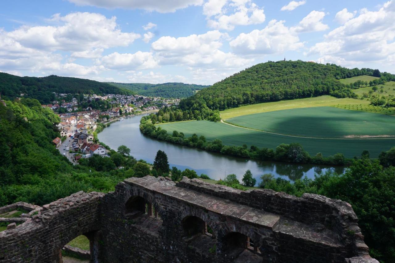 Fewo Am Neckarsteig Mit Anbindung An Heidelberg Неккарштайнах Экстерьер фото