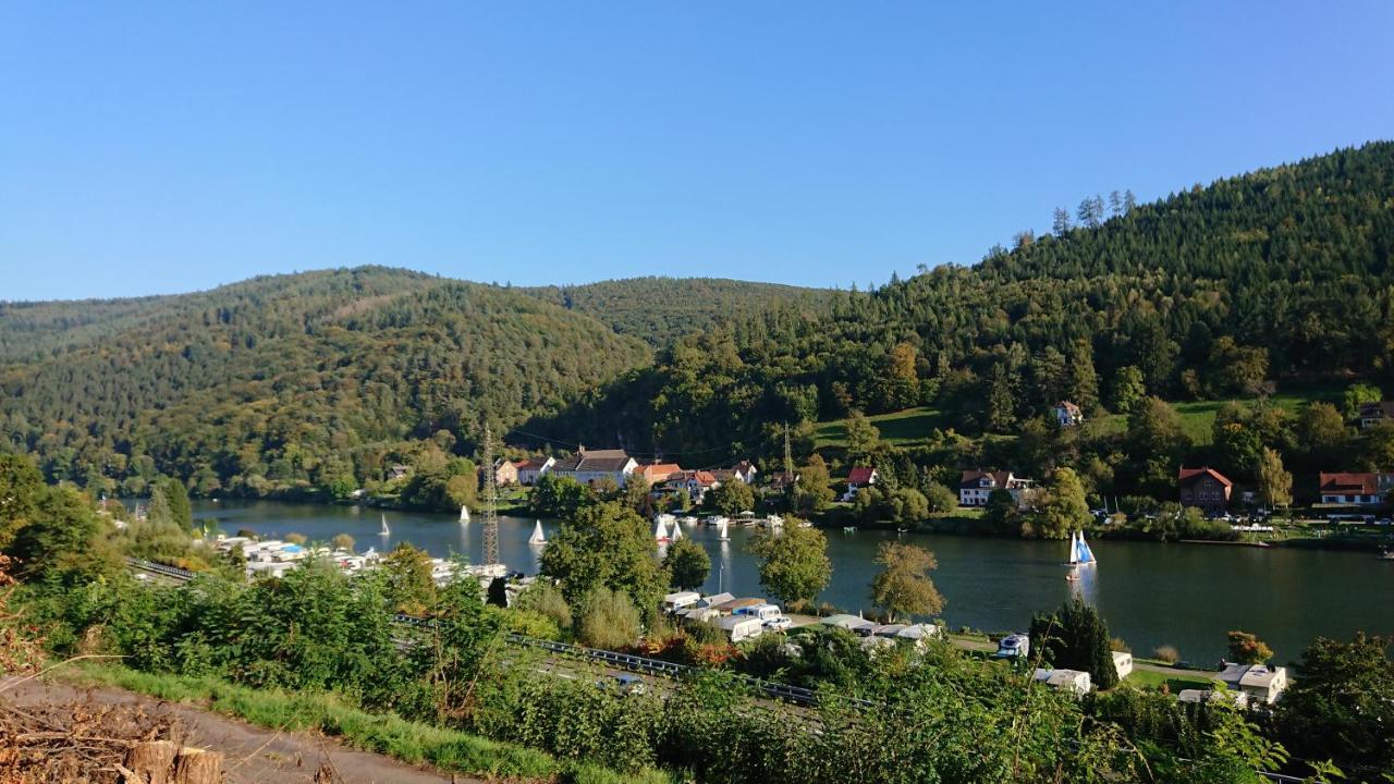 Fewo Am Neckarsteig Mit Anbindung An Heidelberg Неккарштайнах Экстерьер фото