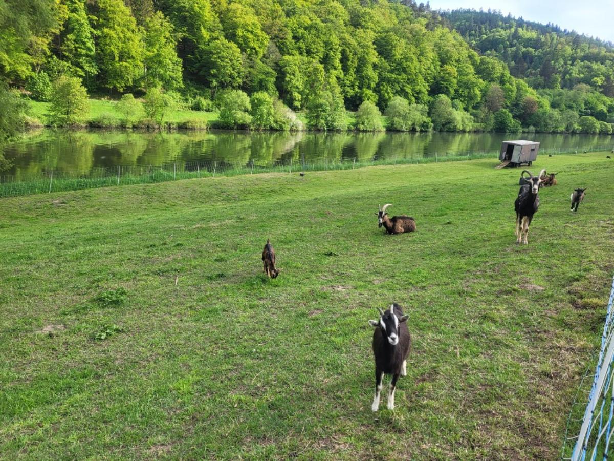Fewo Am Neckarsteig Mit Anbindung An Heidelberg Неккарштайнах Экстерьер фото