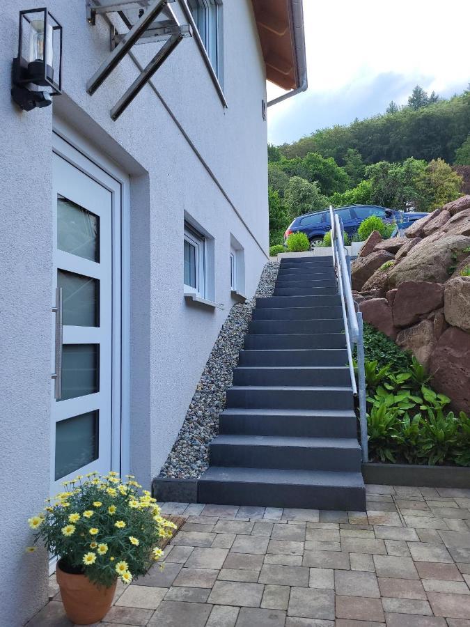 Fewo Am Neckarsteig Mit Anbindung An Heidelberg Неккарштайнах Экстерьер фото